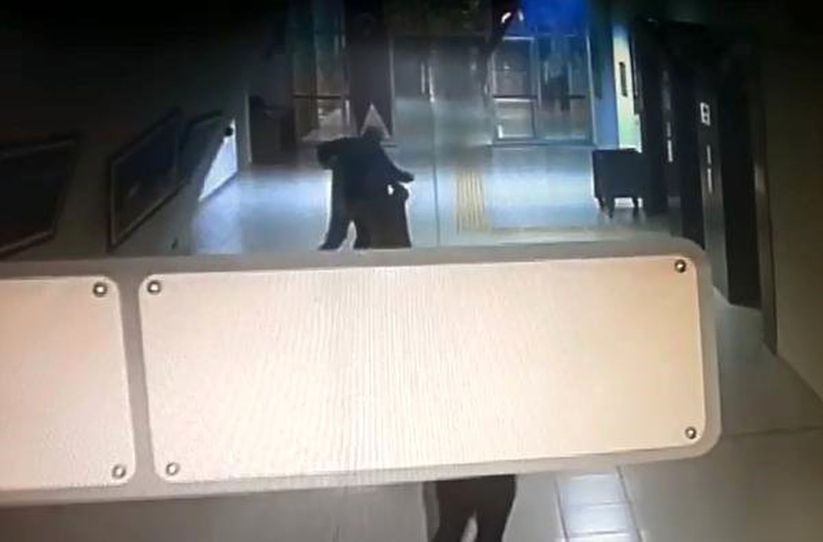 Antalya\'da Buse\'yi Arama Çalışmaları Yeniden Başladı (3)