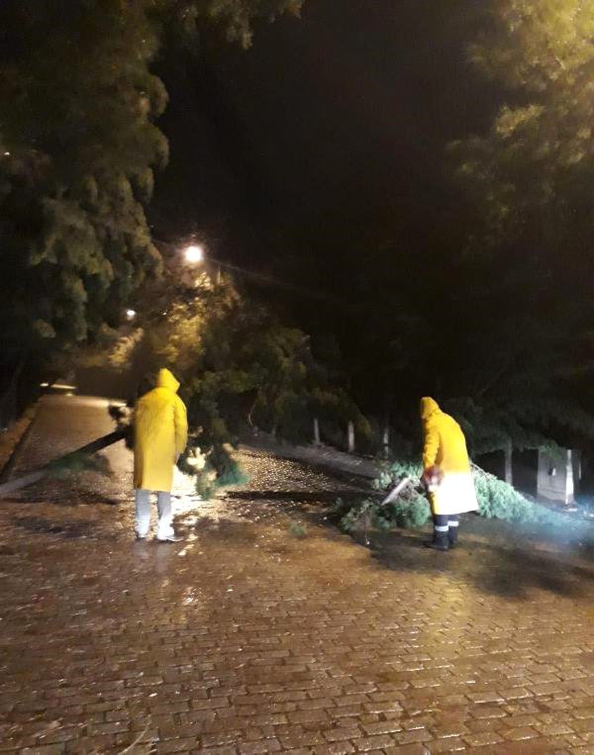 Aydın\'da Yağmur ve Şiddetli Rüzgar Mesaisi