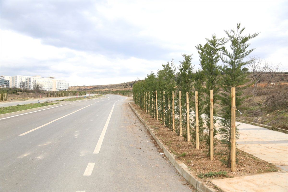 Bilişim Vadisi\'ne 2 Bin Fidan Dikildi