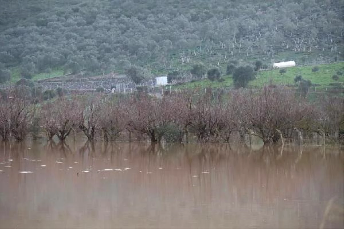 Bodrum\'da Tarım Arazileri Sular Altında