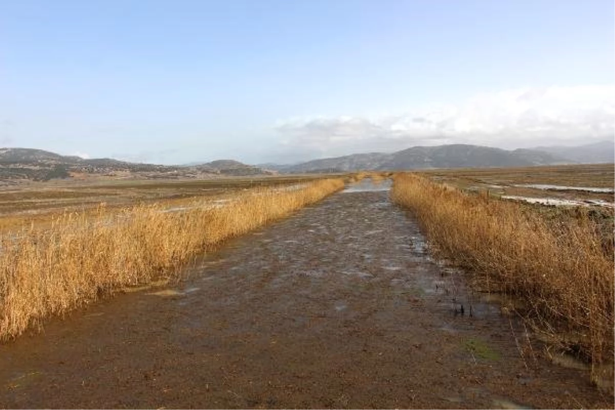Bucak\'ta 25 Bin Dekar Tarım Arazisi Su Altında Kaldı