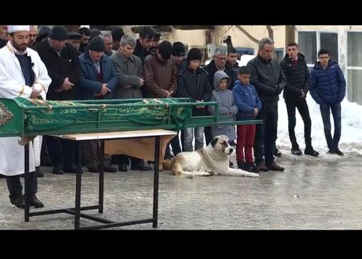 Kalp Krizinden Ölen Çocuğu Son Yolculuğunda Köpeği Yalnız Bırakmadı