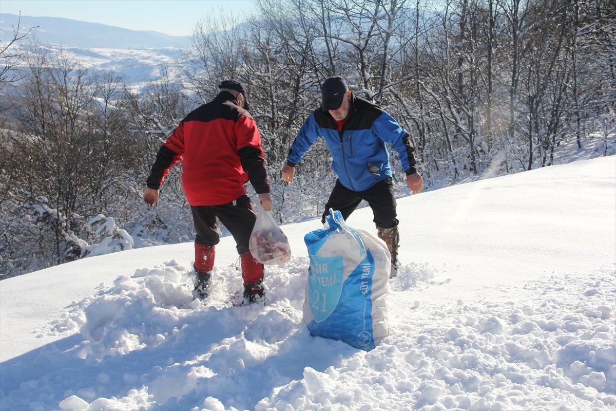 Sokak Hayvanları İçin Yıllardır Ekmek Topluyorlar