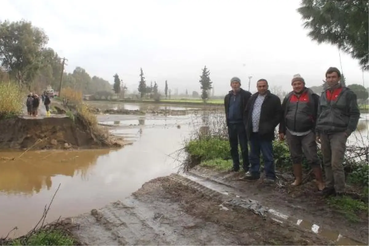 Söke\'deki 2 Çayda Setler Patladı, Tarım Arazileri Sular Altında