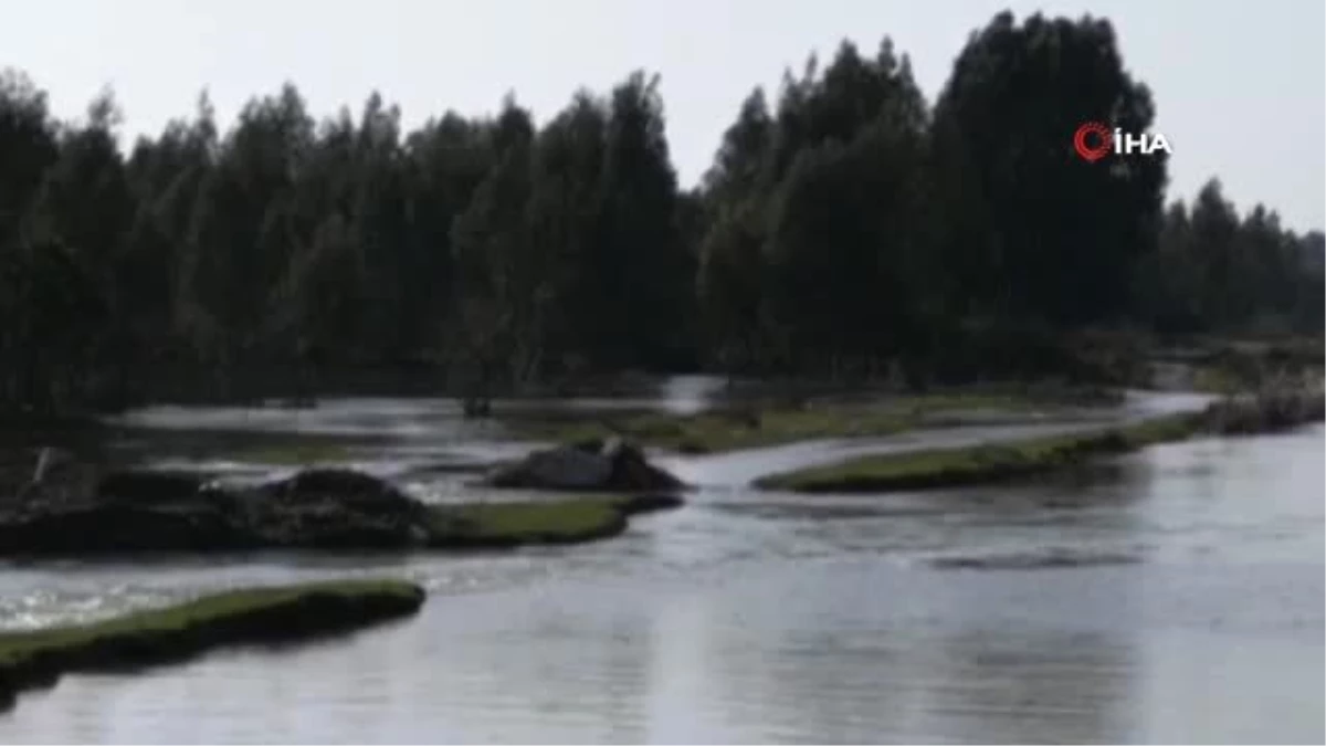 Sulama Kanalına Düşen Müdür Yardımcısını Arama Çalışmaları Sürüyor