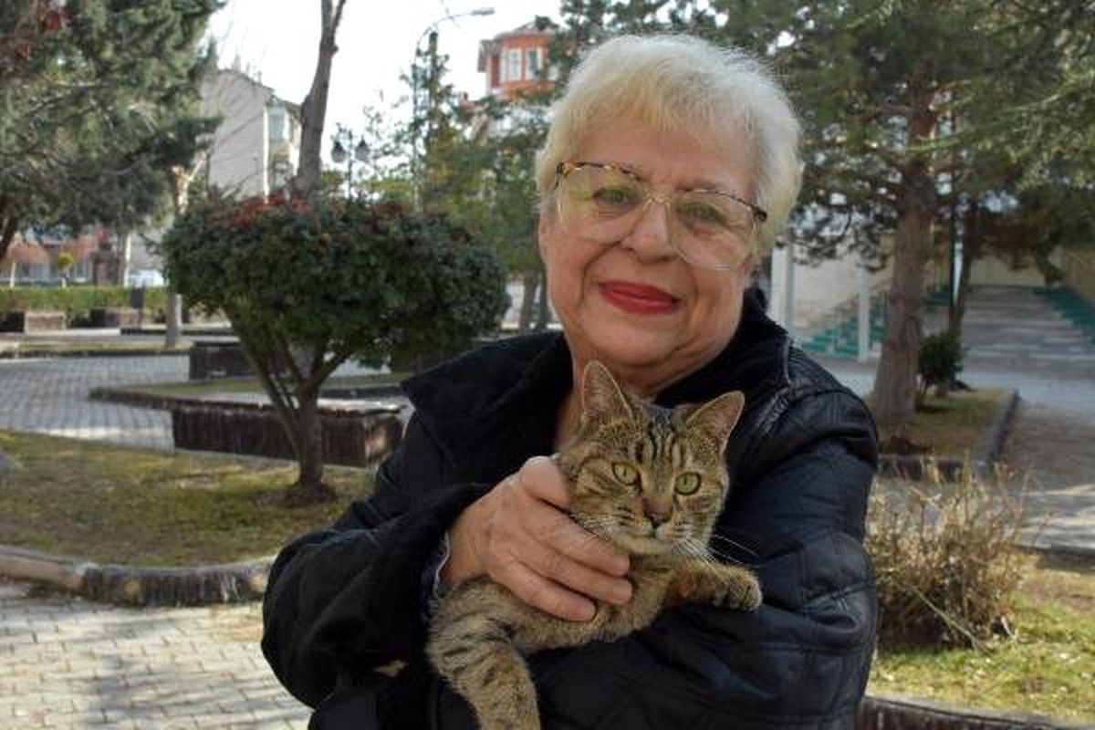 Ümit Sürmeli: Barınaklar Çözüm Değil