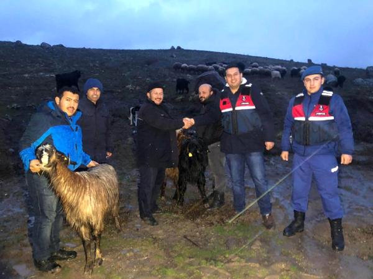 6 Keçi Çalan 2 Şüpheli Tutuklandı