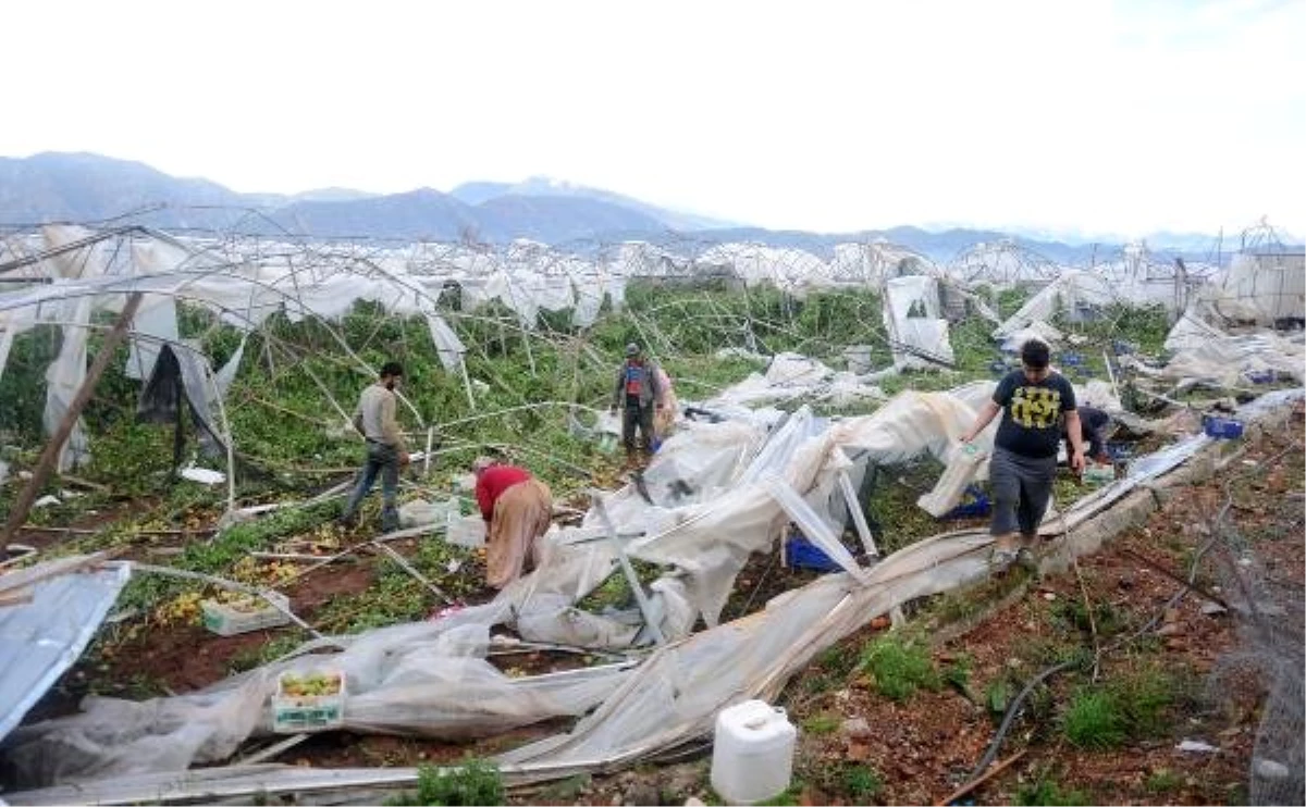 Antalya\'da Hortum ve Yağışın Zararı Büyük (4)