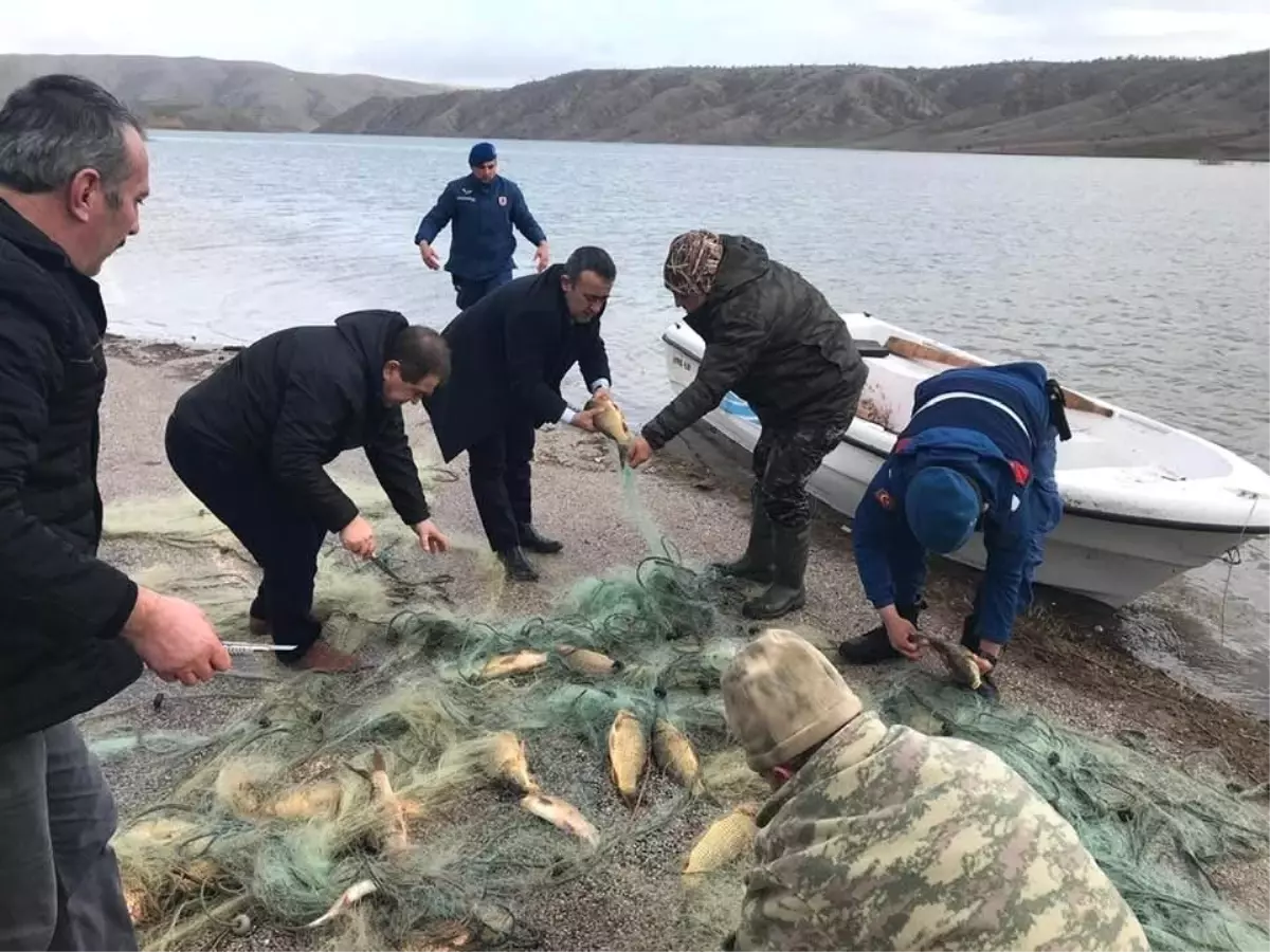 Çoğalması İçin Gölete Bırakılan Balıkları Avladılar