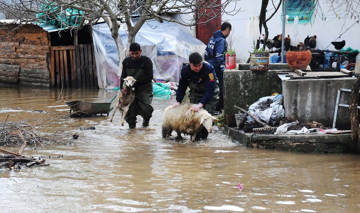 Selde Mahsur Kalan Koyunları İtfaiye Kurtardı