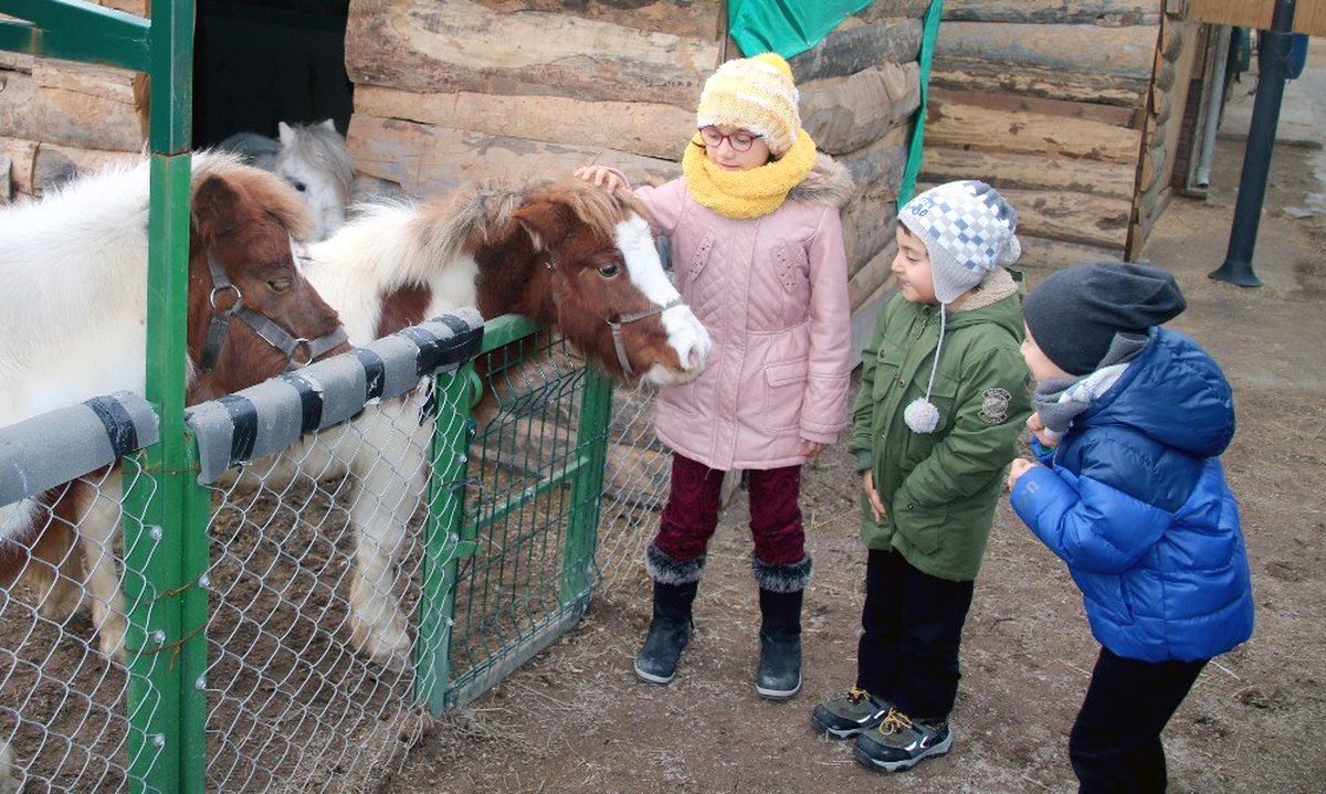 Tatil Çocuklarının Pony Sevinci