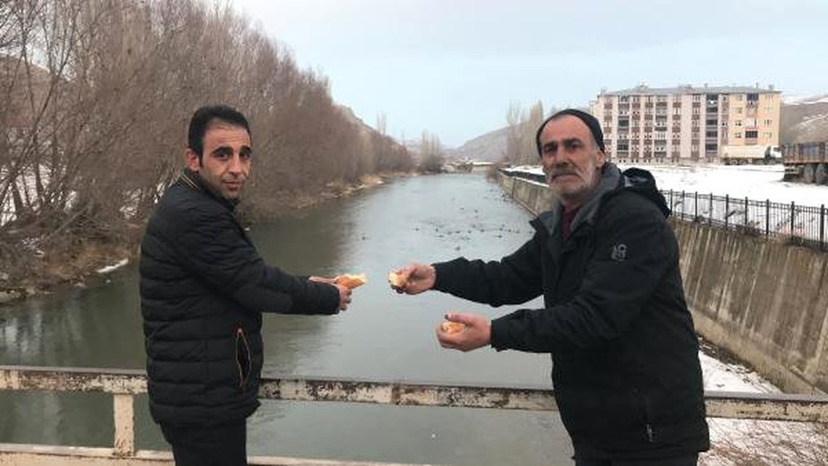 Yaban Ördekleri, Çoruh Nehri\'ni Mesken Tuttu