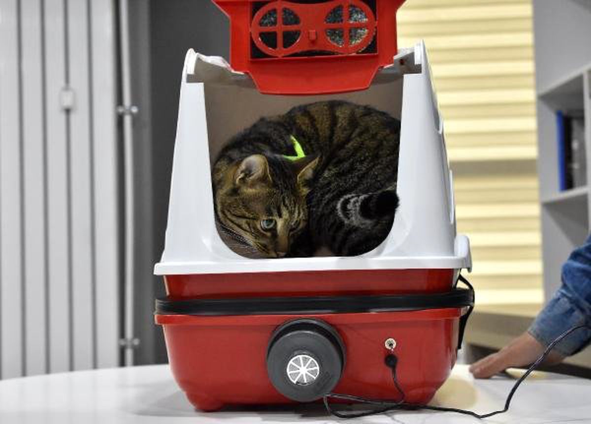 Yaptıkları \'Kedi Tuvaleti\' İçin Patent Başvurusu Yaptı