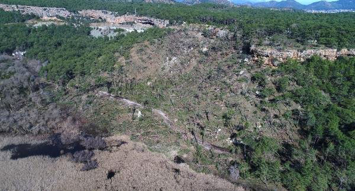 Antalya\'da Buse\'yi Arama Çalışmaları Yeniden Başladı (2)