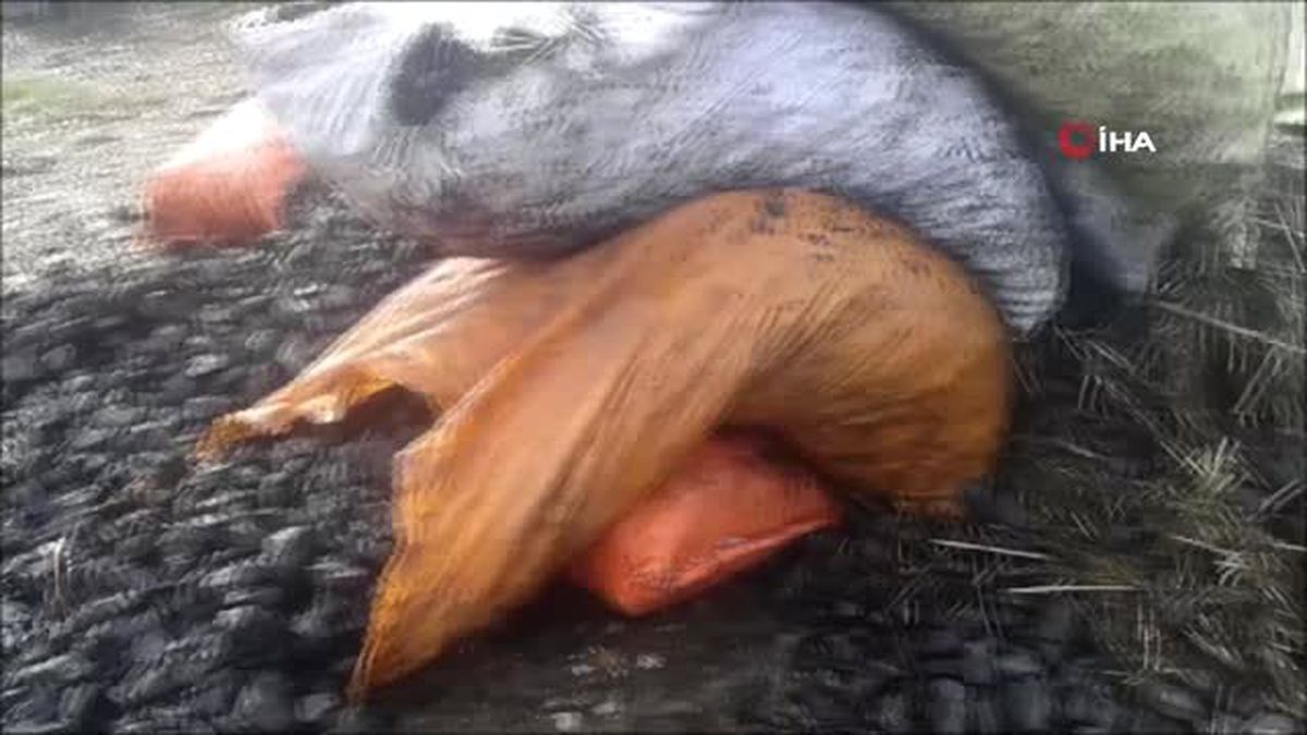 Depodan 40 Ton Kömür Çalındı