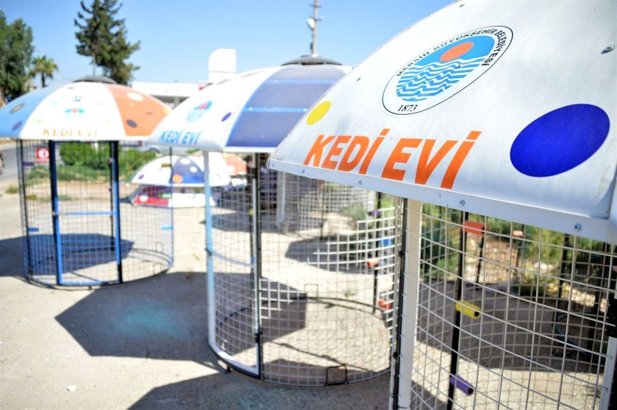 Devrek\'teki Sokak Hayvanları İçin Kedi Evi Bağışladılar