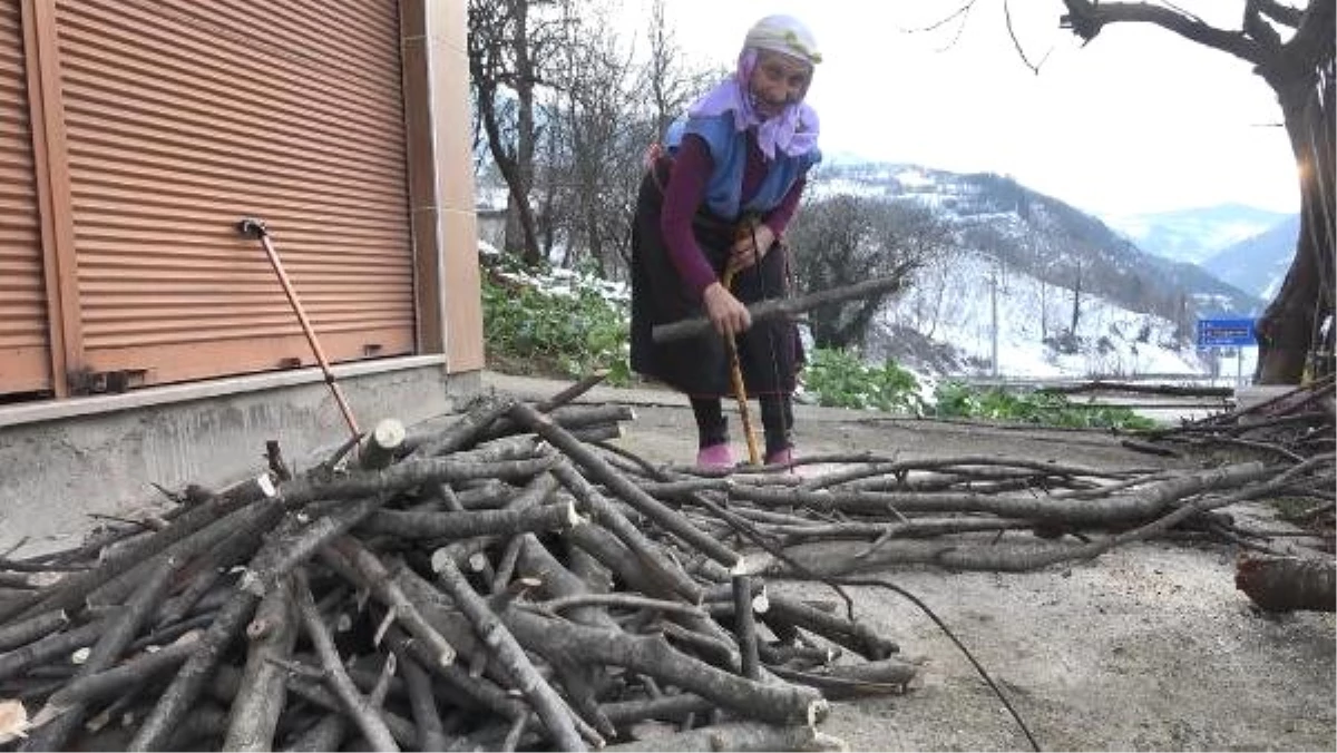 Karadenizli Kadınlar, Her Mevsim Çalışkan