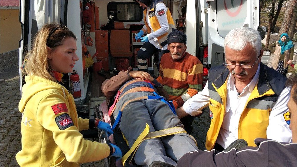 Mezarlıkta Üzerine Kesilen Ağaç Devrilen Yaşlı Adam Ağır Yaralandı