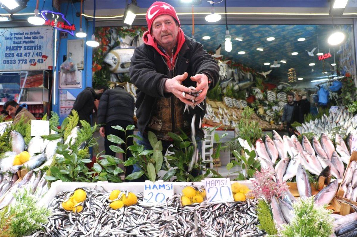 Soğuk Hava Hamsiyi de Vurdu