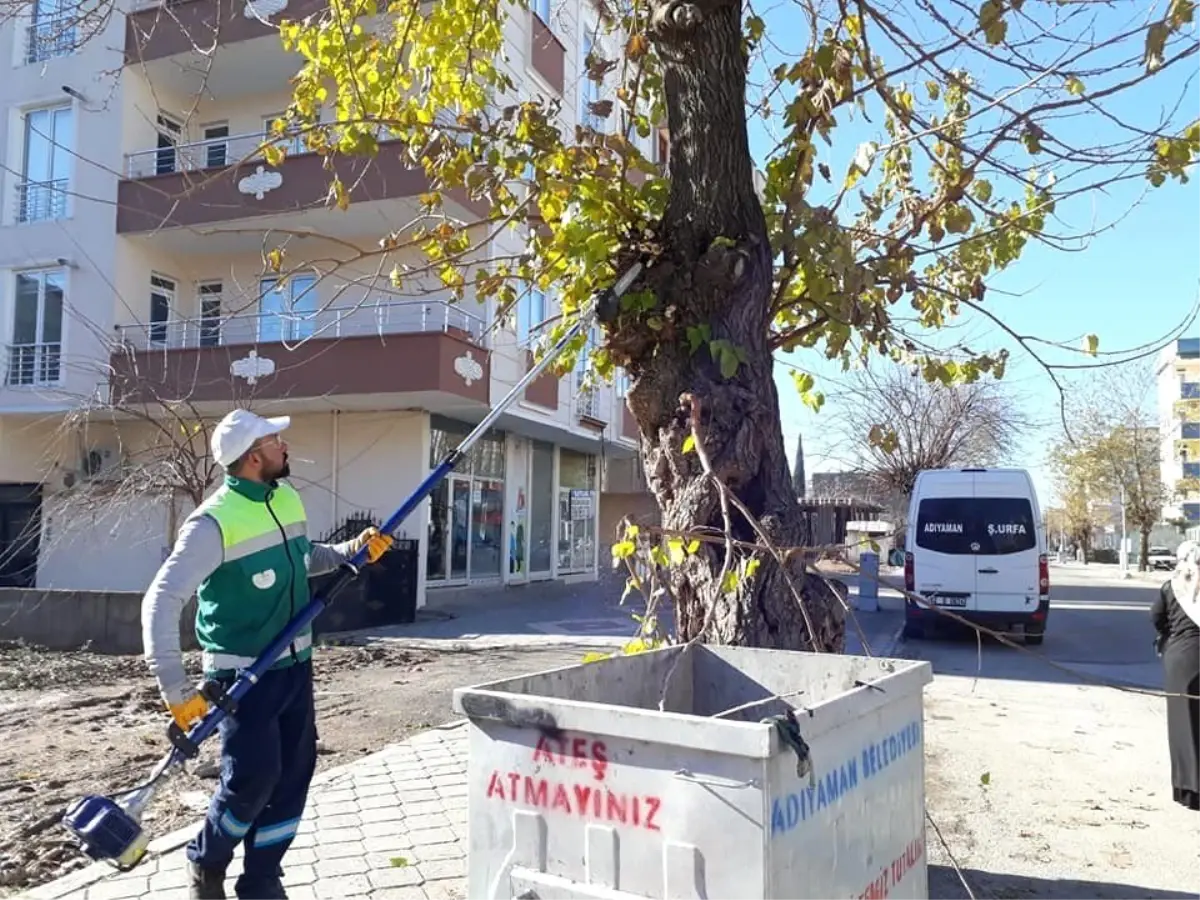 Adıyaman Belediyesinden Ağaçlara Bakım