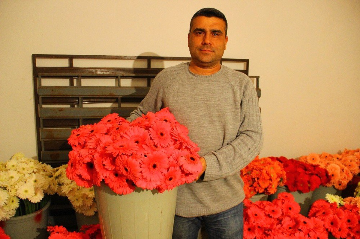 Aydın\'daki Çiçek Seraları Elektrik Faturalarından Dertli
