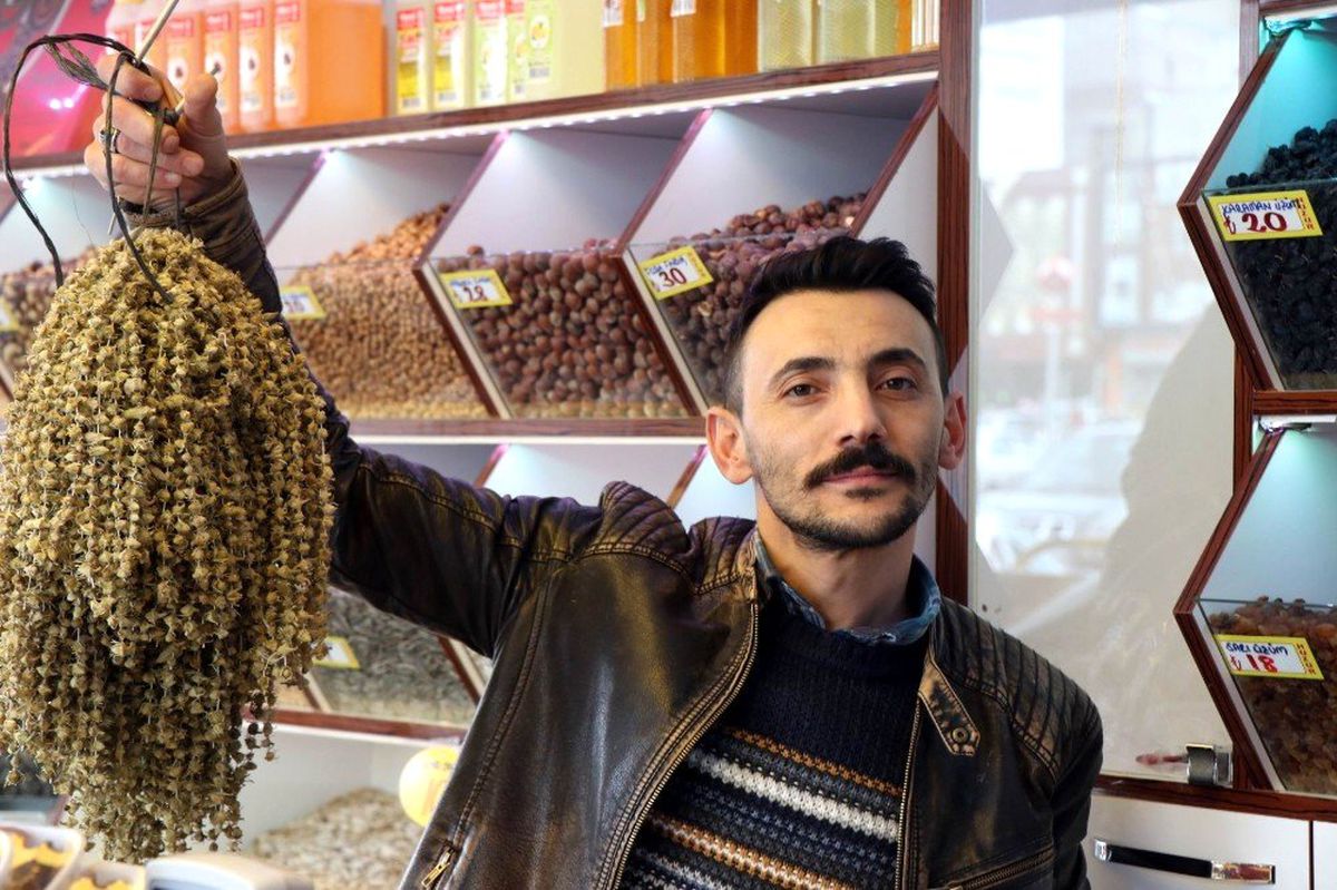 Bamya Zamlardan Etkilenmedi