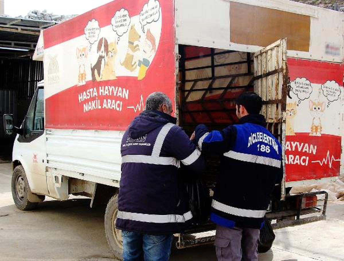 Dicle Elektrik\'ten Örnek Davranış
