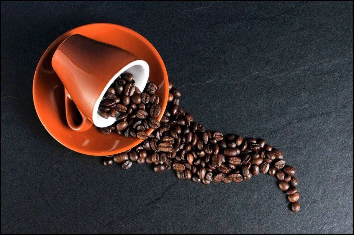 Dünyanın En Çok Bilinen Kahve Çekirdeği Türleri