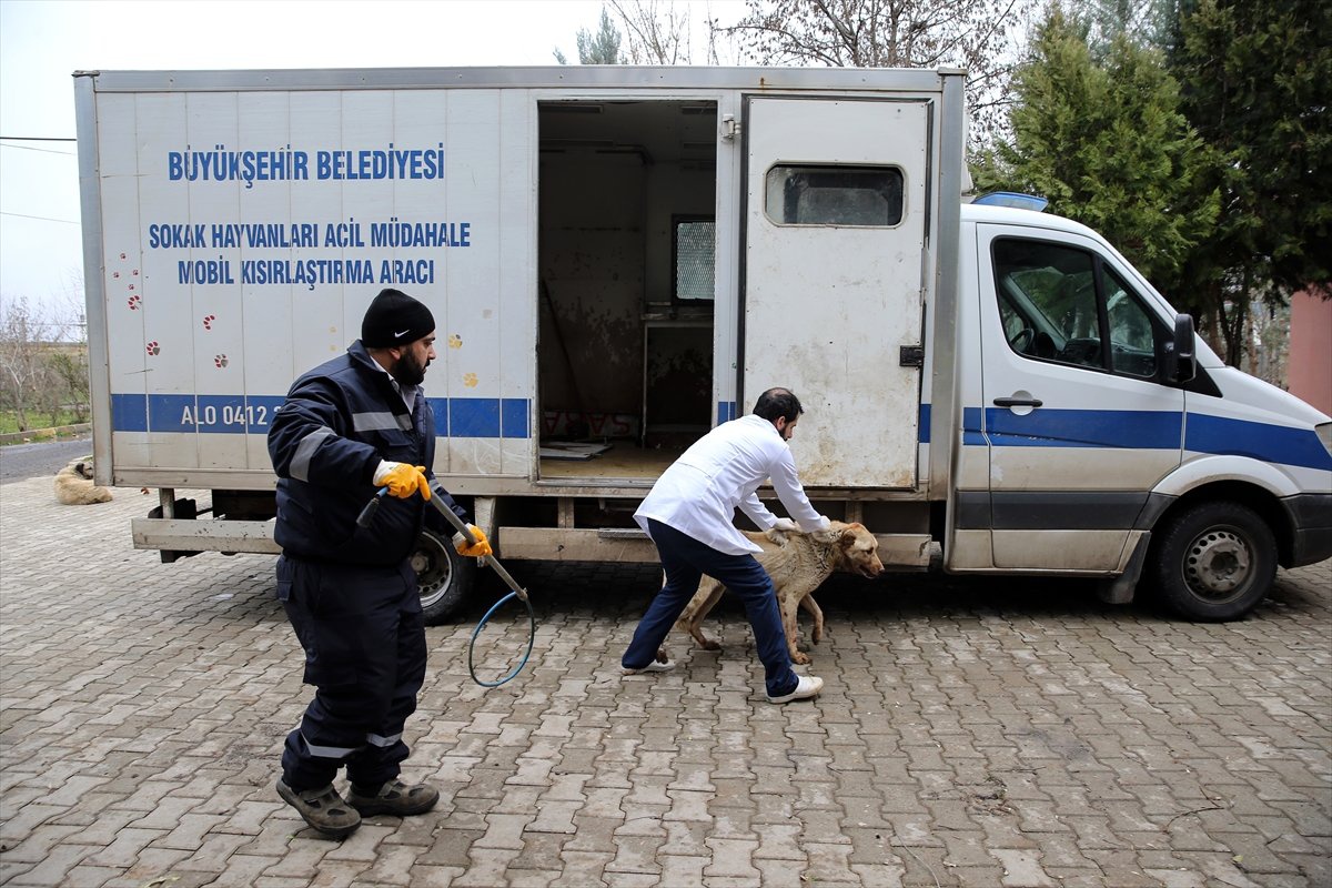Hasta ve Yaralı Hayvanlara "Ambulans" ile Anında Müdahale