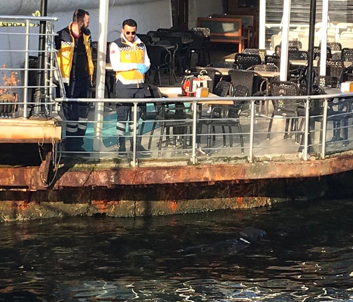 Kadıköy\'de Denizde Ceset Bulundu