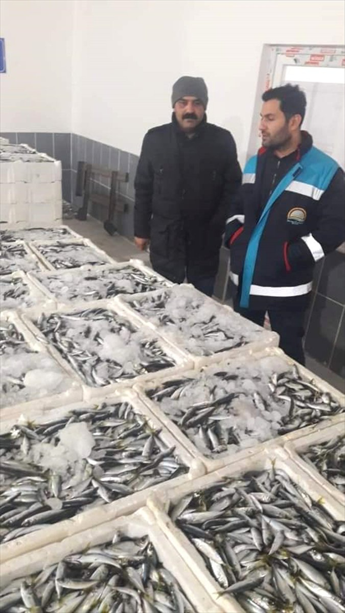 Samsun\'da "Boy Yasağı"Na Uymayan Balıkçılara Ceza