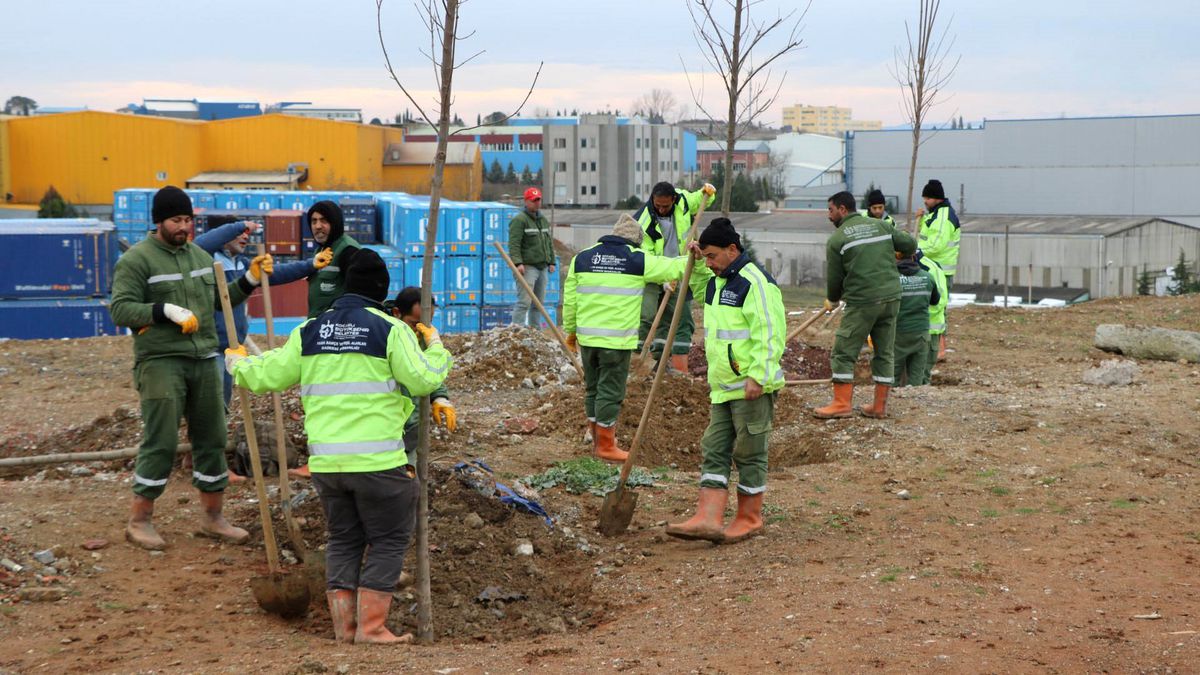 Tavşanlı - Polyak Hafriyat Alanına 10 Bin Ağaç