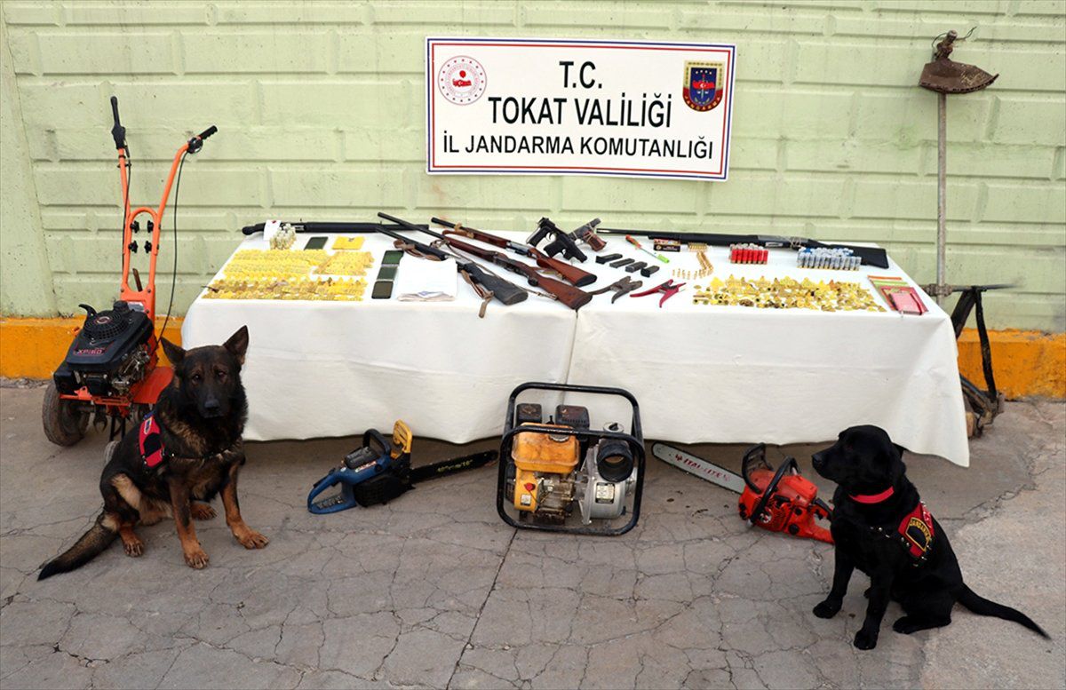 Tokat Merkezli 3 İlde Hayvan Hırsızlığı Operasyonu