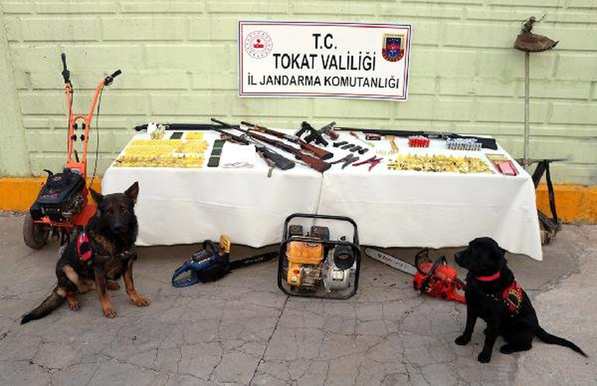 Tokat Merkezli Hayvan Hırsızlığı Operasyonu: 16 Gözaltı