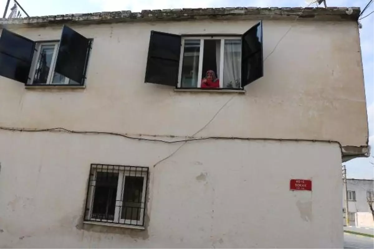 7 Ayda 7 Kez Aynı Evi Taşlama Şüphelisi: Köpekleri Saldırmıştı