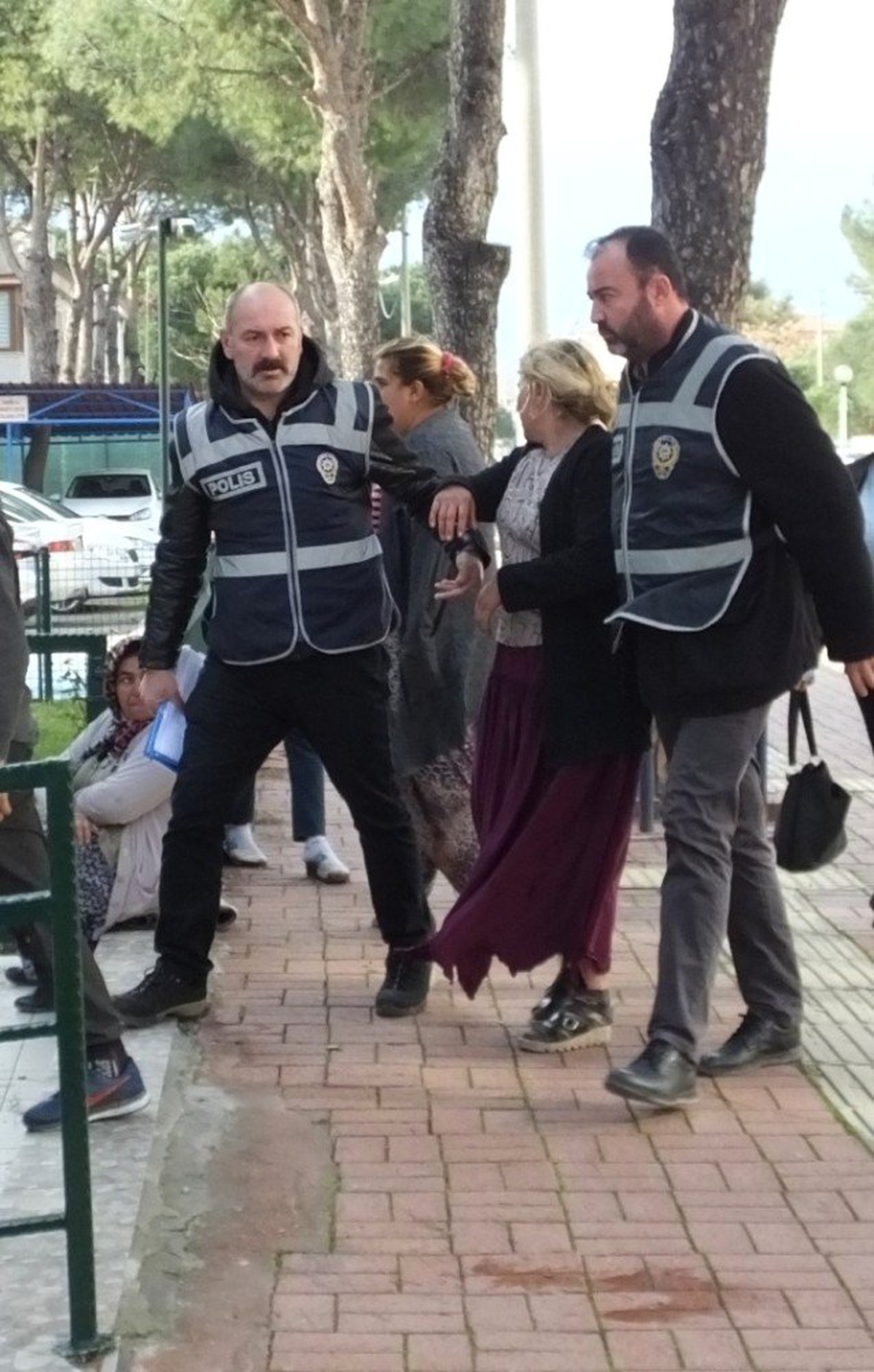 At Arabalı Hırsızlık Zanlıları Yakalandı