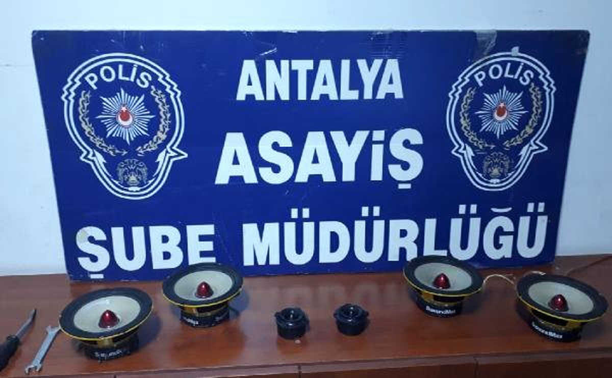 Hırsızlık Şüphelisi: Çek Kardeşim, Düşmanlarım Yakışıklı Görsün