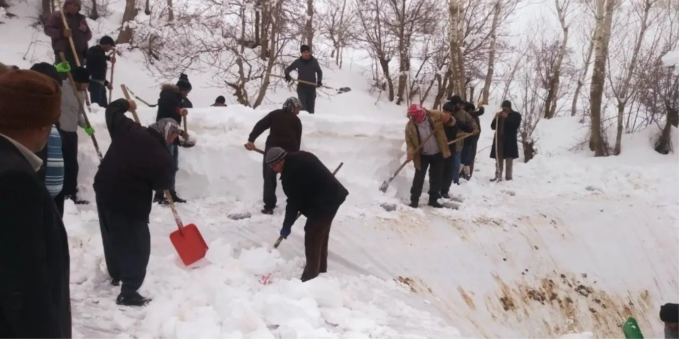 Karın Ağırlığına Dayanamayan Ahır Çöktü: 6 Hayvan Telef Oldu