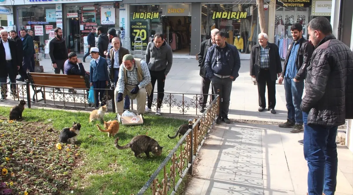 Siirtli Yaşlı Adamın Kedi Sevgisi İlgi Çekiyor