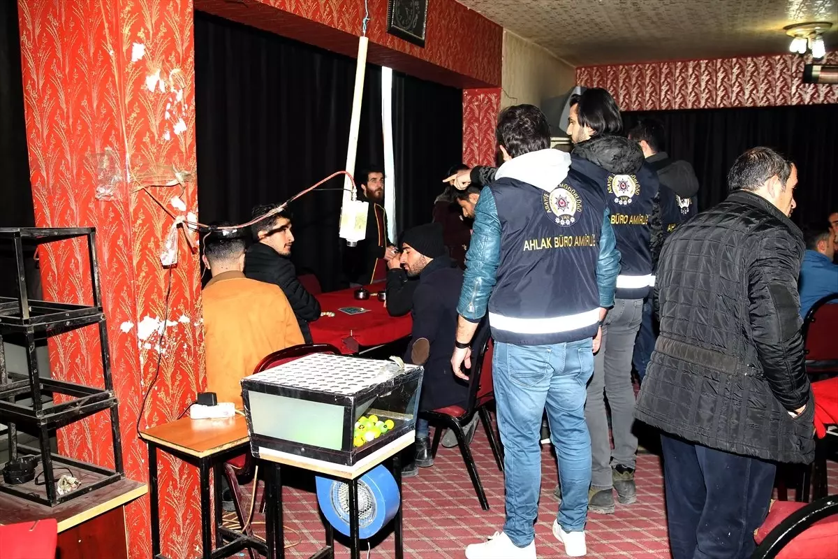 Van Polisi Tombalacılara Göz Açtırmadı