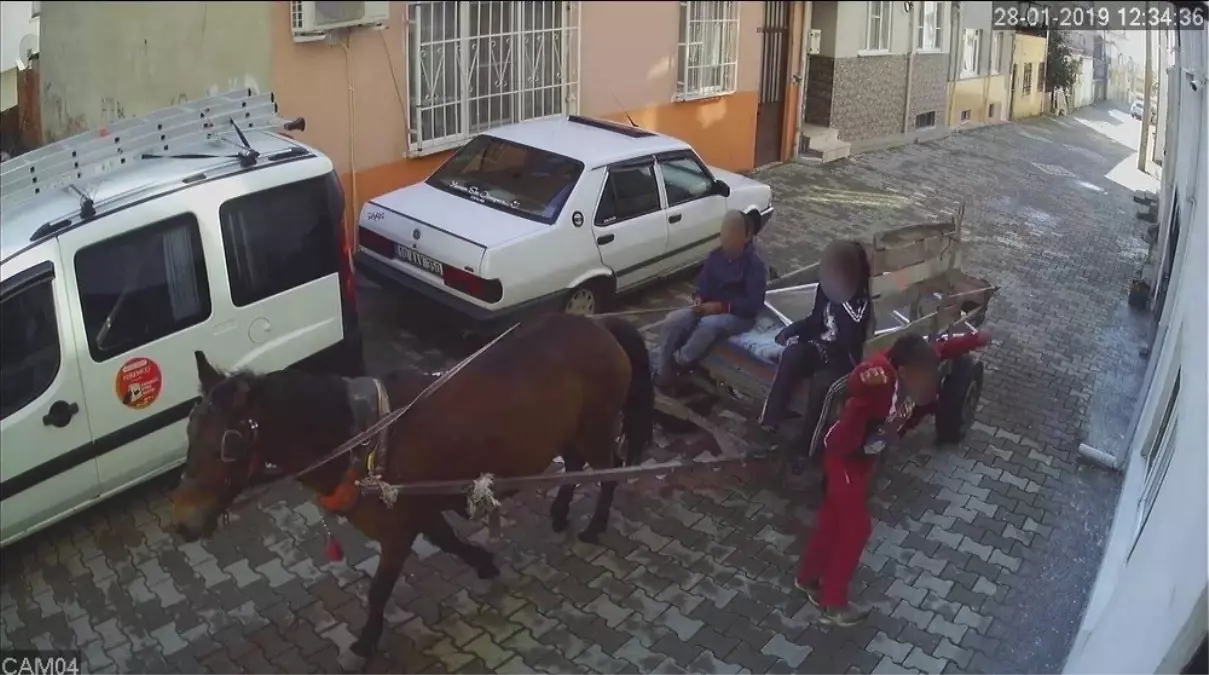 At Arabalı Çocuk Hırsızlar Güvenlik Kamerasına Böyle Yakalandı