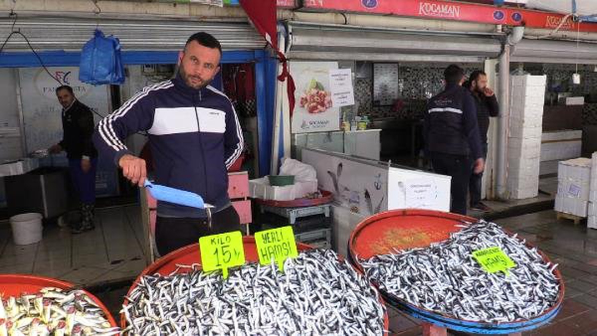 Bandırma\'da Hamsinin Kilosu 15 Liraya Düştü