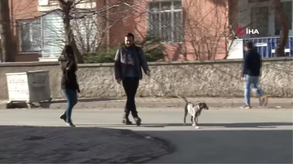 Çöp Kenarında Bulduğu Köpeği Okul Harçlıklarıyla Hayata Bağladı