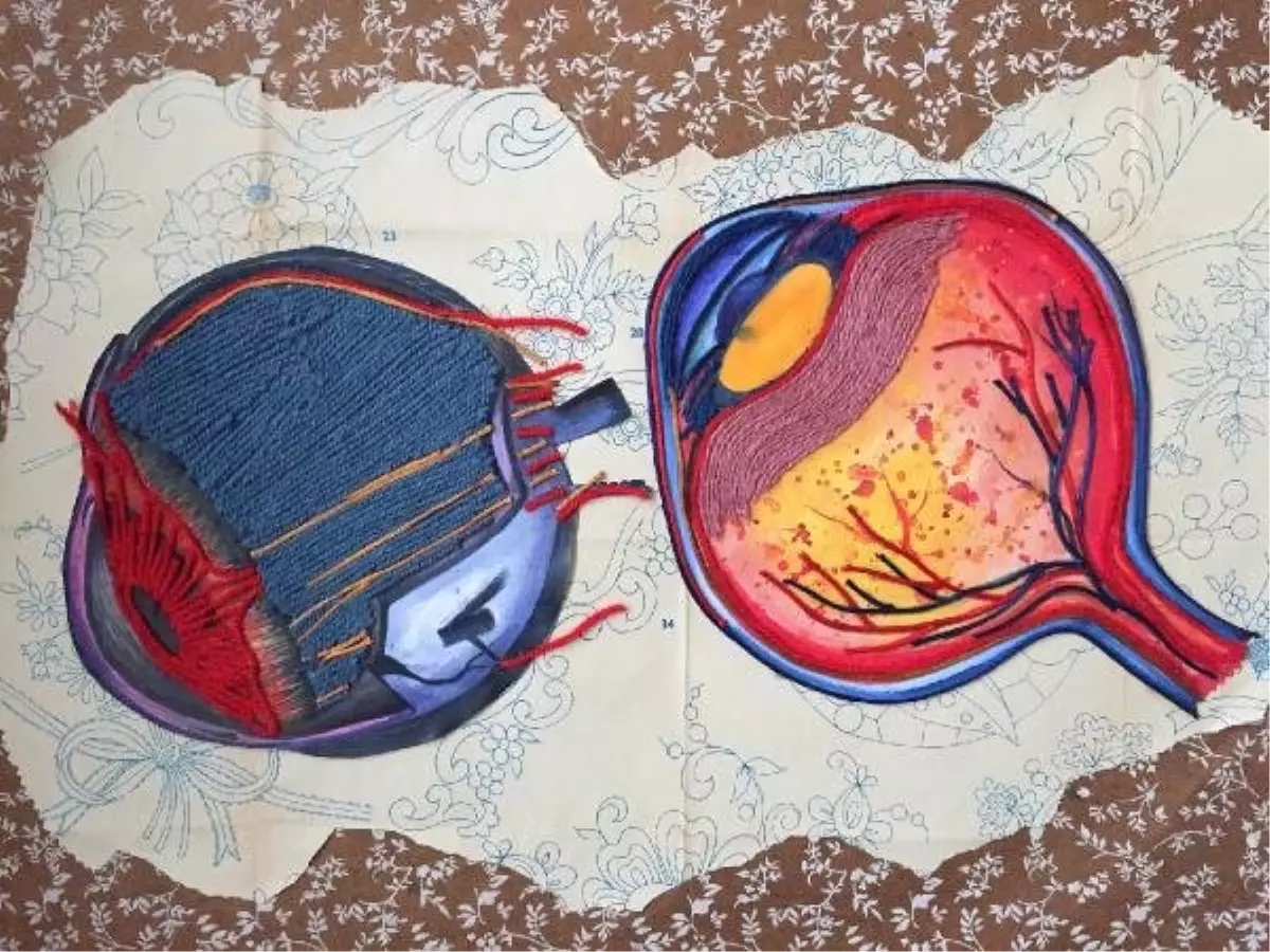 İnsan Anatomisinin Karmaşık Güzelliği Resimlere Yansıdı