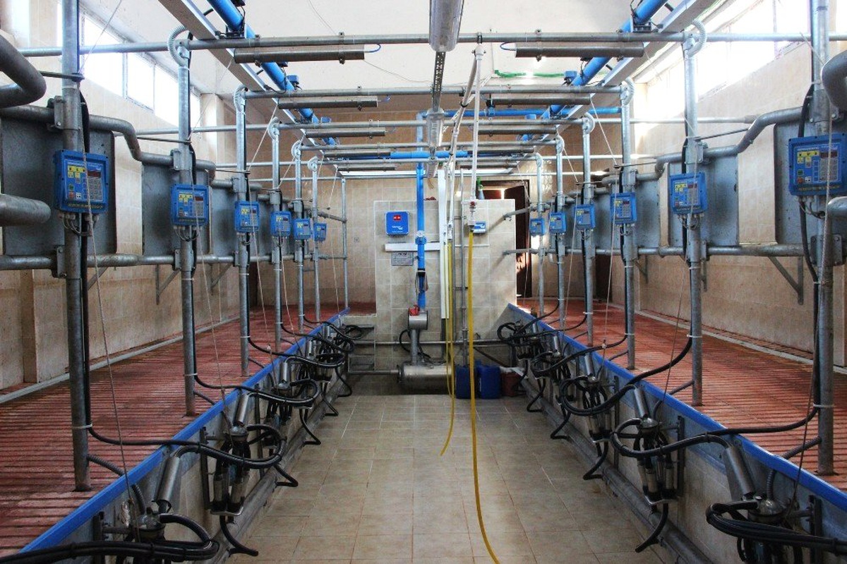 Sivas\'ta Kırsala 292 Milyon Liralık Yatırım