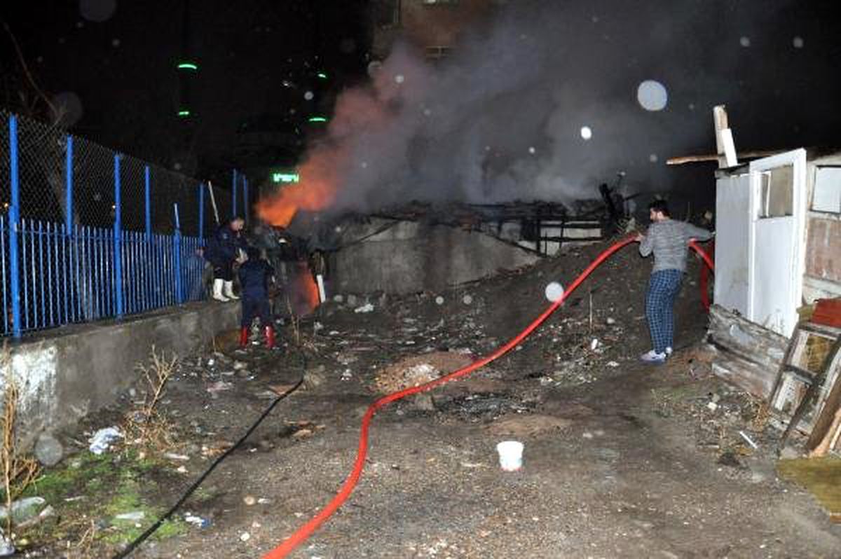 Ankara\'da Gecekondu Yangını: 5 Yavru Köpek Telef Oldu