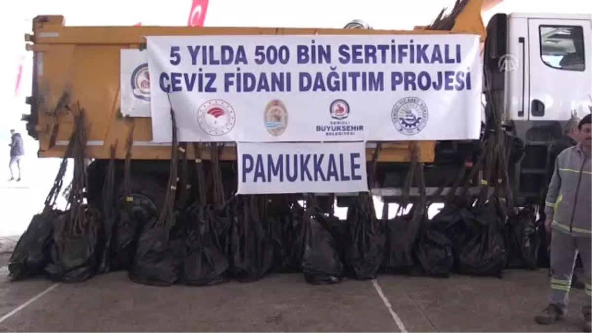 Cevizde İthalatçı Olmamamız Gerekiyor"