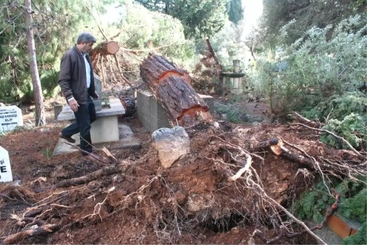 Erdemli\'deki Seralarda 8 Milyon Liralık Fırtına ve Hortum Hasarı