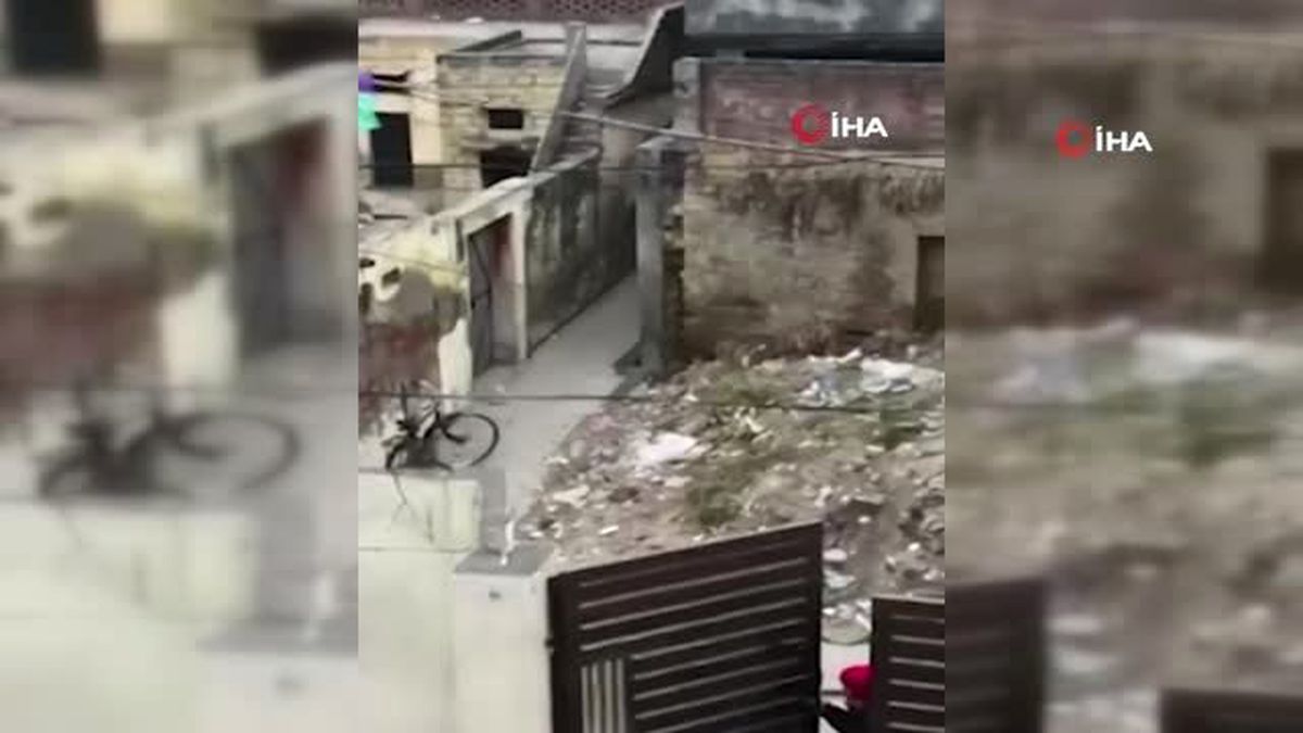 Hindistan\'da Şehre İnen Leopar Hem Korkuttu Hem de Heyecanlandırdı