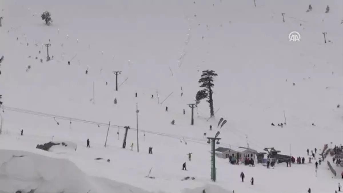 Jöak ve Jak Timlerinden Gerçeği Aratmayan Tatbikat - Bolu